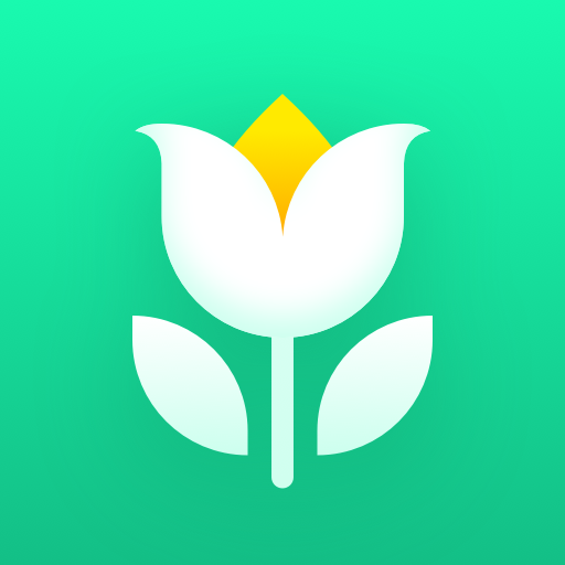 Plant Parent: Guia de Cuidados com Plantas cover